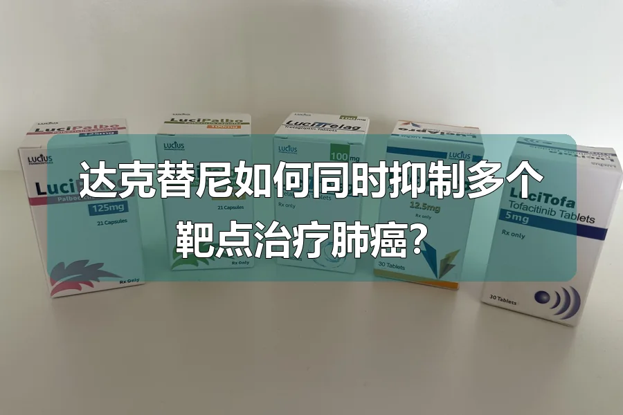 达克替尼如何同时抑制多个靶点治疗肺癌？